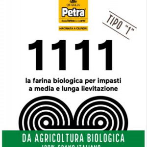 HARINA PETRA 1111 BIO GRANO TENERO TIPO 1 500 GRS 