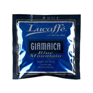 CIALDA GIAMAICA BLUE 44 MM LUCAFFE 100 UN (CJ)